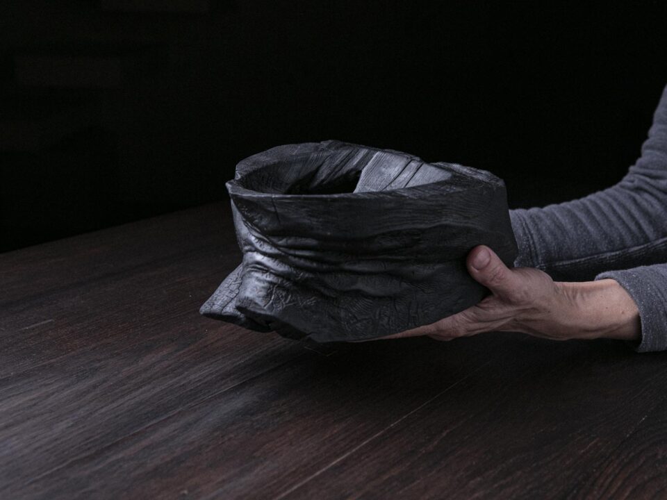 Raven Black Elephant Foot A10V58