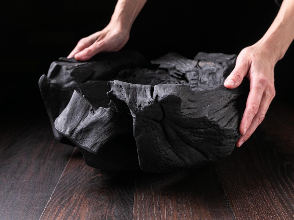 Raven Black Fossil A12V101