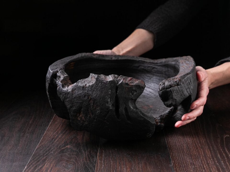 Raven Black Titanic Fossil A12V102