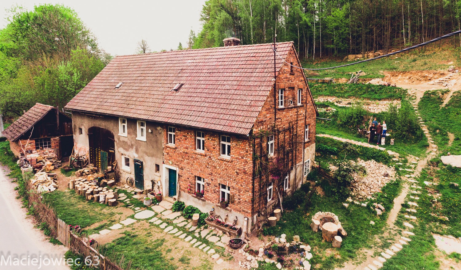 maciejowiec