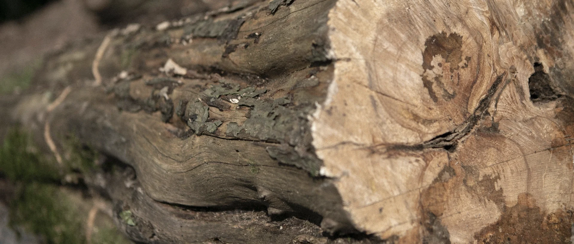 20250829_Y4A6370_1920x960