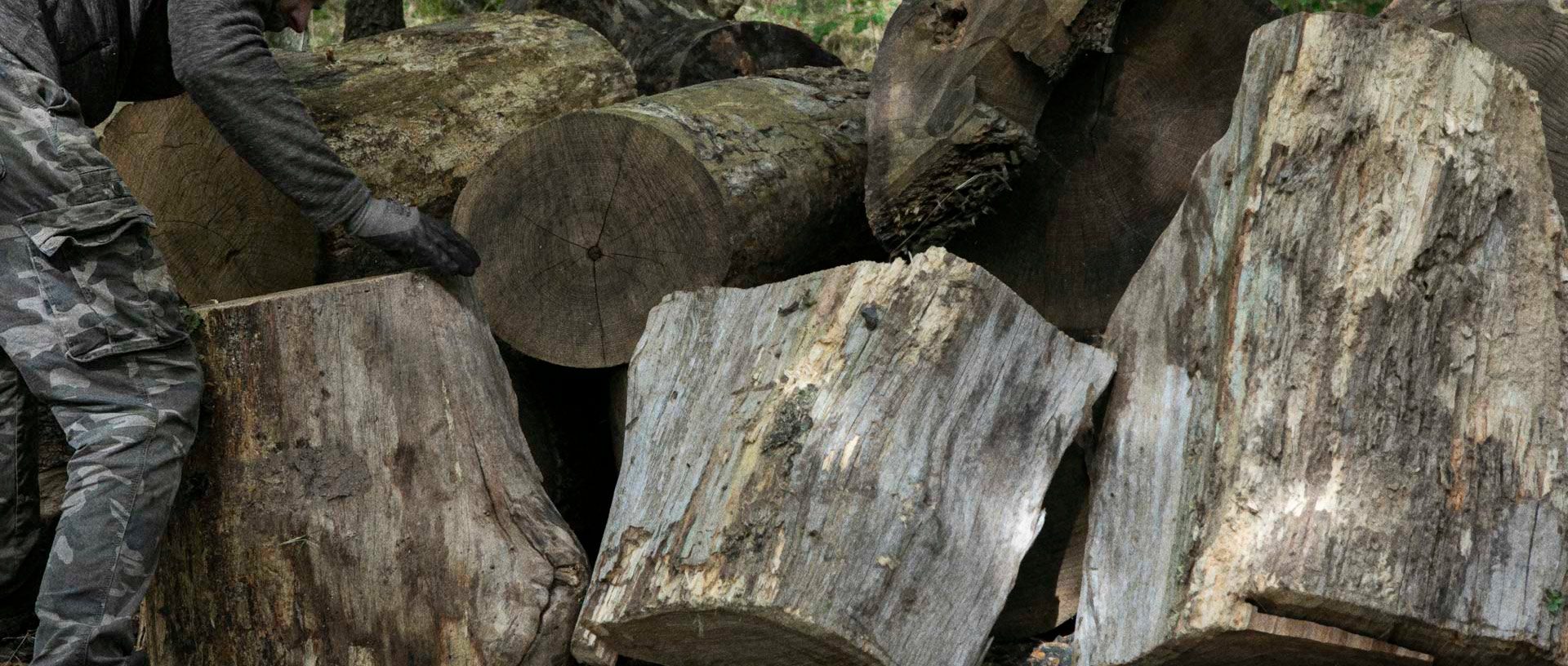 ScarAndWonder-18-1920