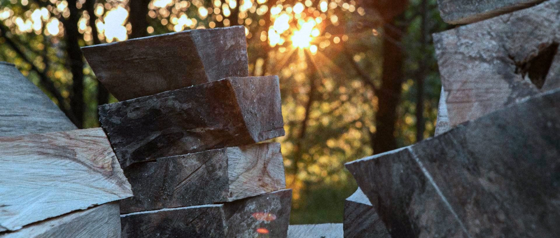 ScarAndWonder-36-1920